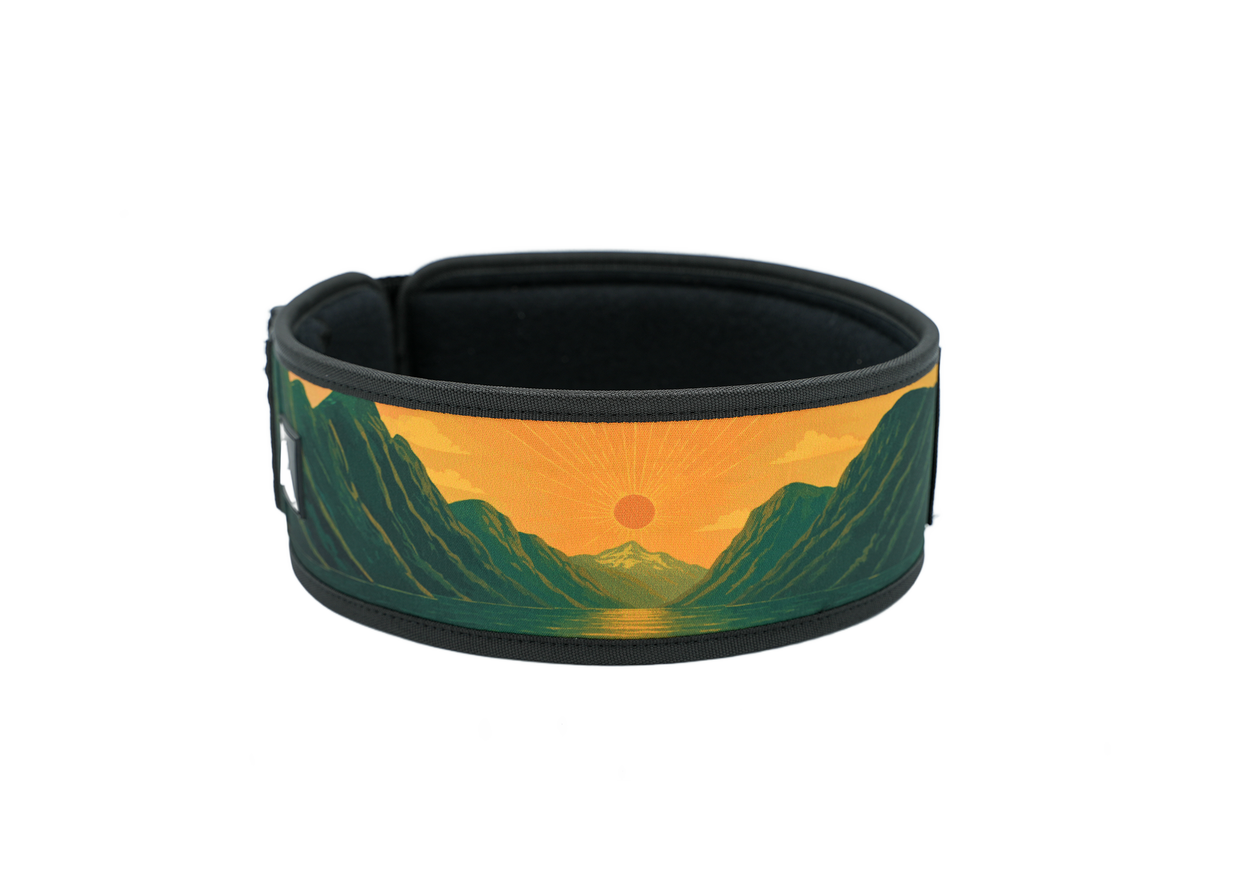 Ceinture d’haltérophilie 4 pouces RYLIX FJORD pour musculation et powerlifting