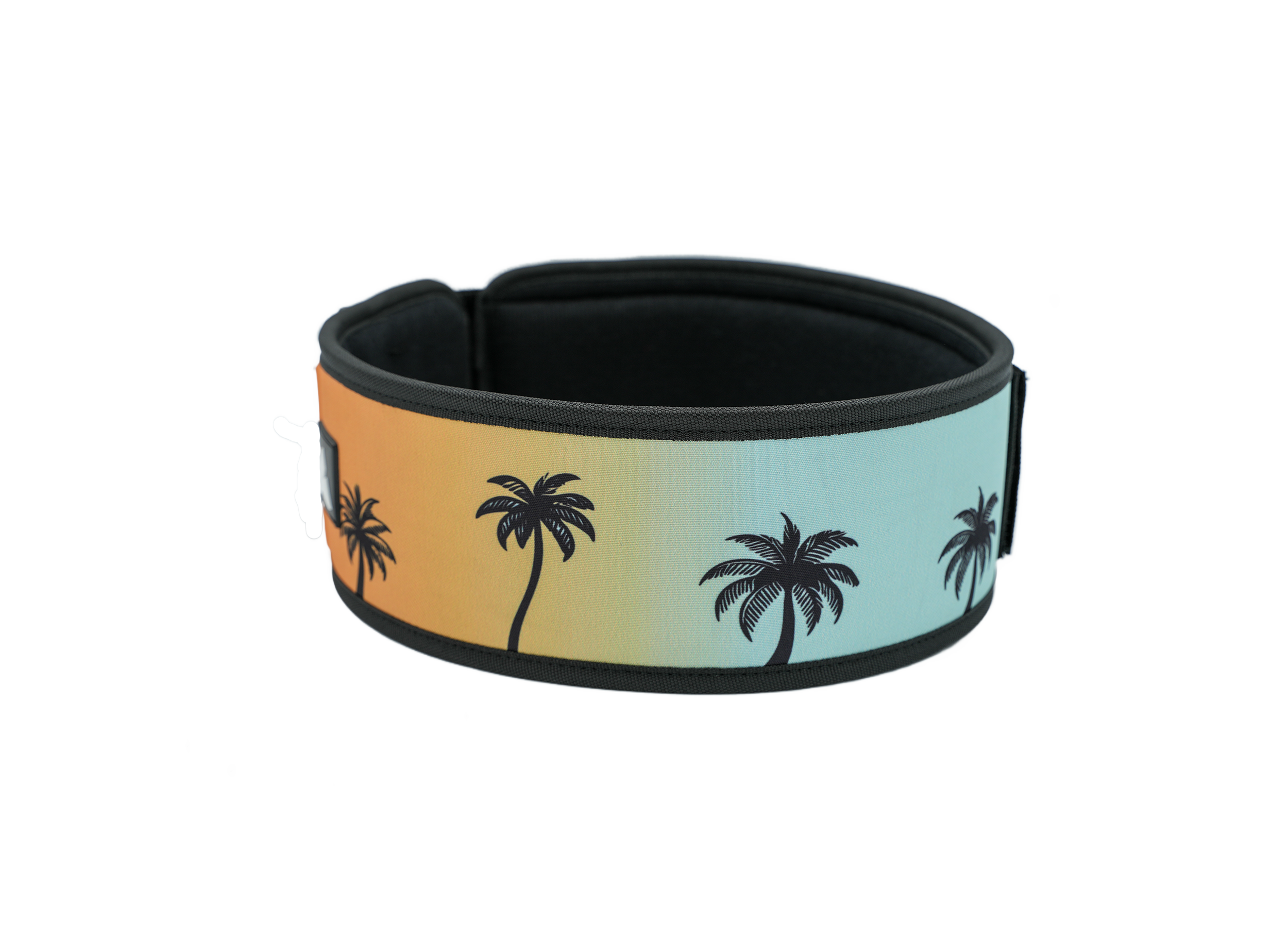 Ceinture d’haltérophilie 4 pouces RYLIX PALMIER pour musculation et powerlifting