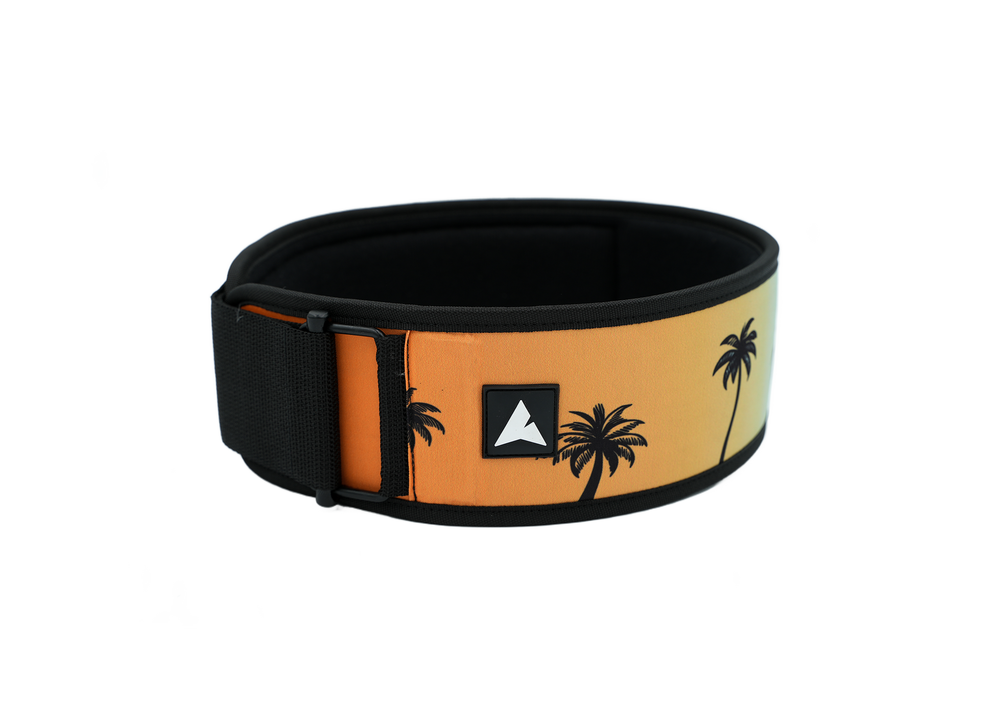 Ceinture d’haltérophilie 4 pouces RYLIX PALMIER pour musculation et powerlifting